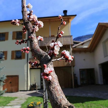 Ferienhof Weingenuss Apartment Cortina Sulla Strada del Vino ภายนอก รูปภาพ