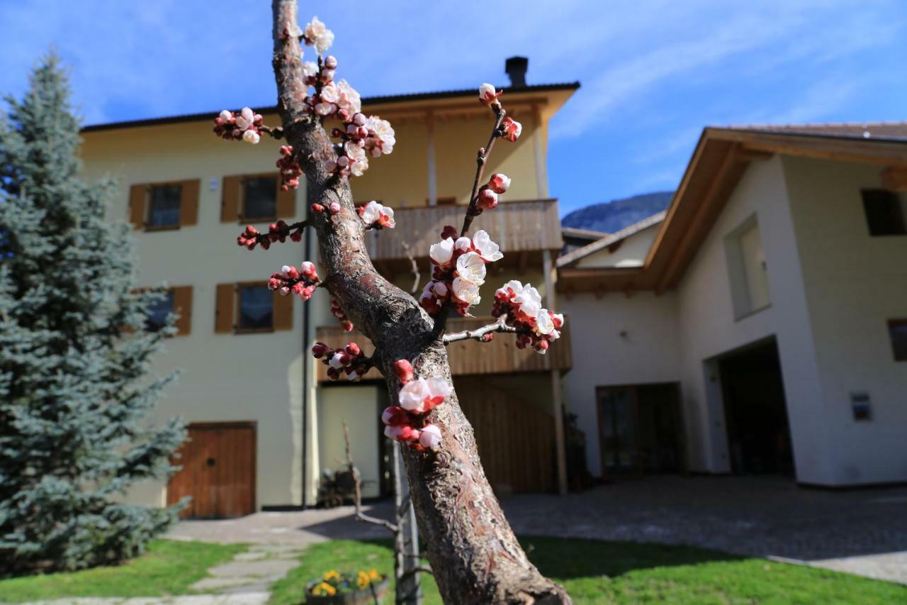 Ferienhof Weingenuss Apartment Cortina Sulla Strada del Vino ภายนอก รูปภาพ